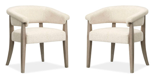 Braelyn - Upholstered Host Chair (Set of 2) - Dorian Gray