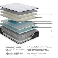 Anniversary Edition Pillowtop - Mattress