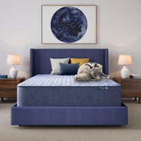 Perfect Day - 14" Firm Mattress in a Box