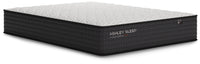 Limited Edition Firm - Mattress