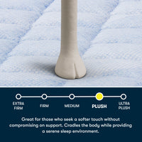 Perfect Day - 14" Plush Mattress in a Box