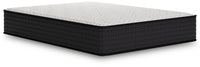 Limited Edition Plush - Mattress