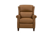 Shasta - Recliner Push Thru The Arm