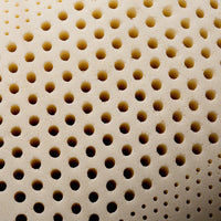 Zoned Talalay Latex - Plush Pillow