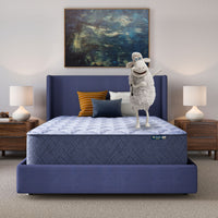 Perfect Day - 14" Plush Mattress in a Box
