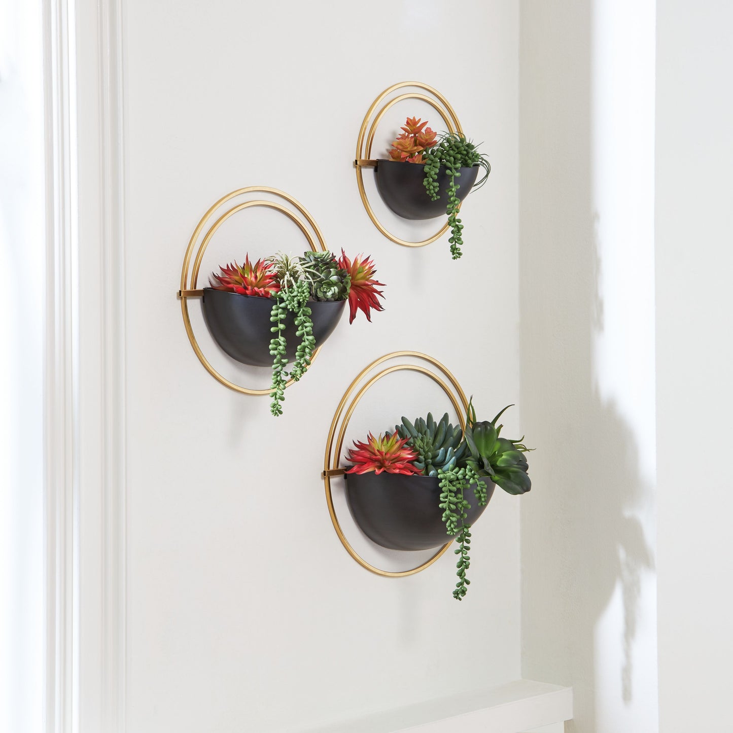 Tobins - Black / Gold Finish - Wall Planter Set (Set of 3)