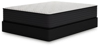 Limited Edition Plush - Mattress