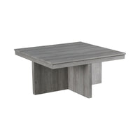 Uster - 2 Piece Occasional Set (Coffee Table And End Table) - Light Gray