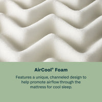 Peaceful Morning - 13.75" Plush Mattress