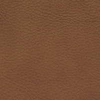 Magic Man - Reclining Sectional