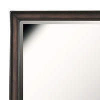 Granite Falls - Beveled Dresser Mirror - Espresso Brown