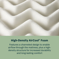 Radiant Dream - 10" Memory Foam Firm Mattress in a Box