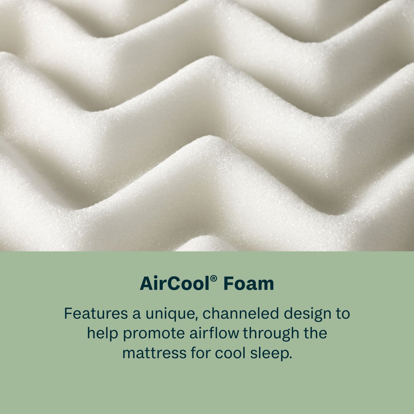 Dream Weaver - 12.25" Medium Euro Top Mattress