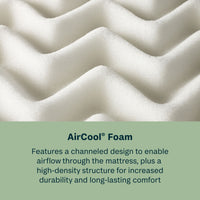 Soothing Nights - 10" Medium Mattress In A Box